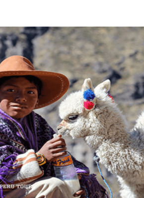 cañon del colca paquete turistico en peru